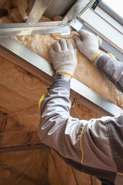 Best Insulation Maintenance and Repair in Orlinda, TN