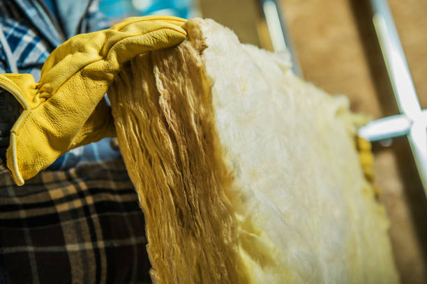Best Specialty Insulation in Orlinda, TN
