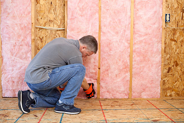 Best Insulation for Specific Applications in Orlinda, TN